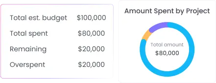 Project Budget Summary for Overview Project budget tracker summarizes total budgets, spending and remaining amounts for all projects